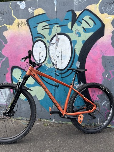 Whyte 529 medium - frame, 29"