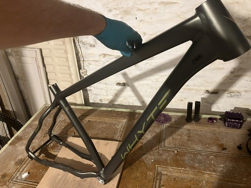 Whyte 629 hardtail frame - xl,