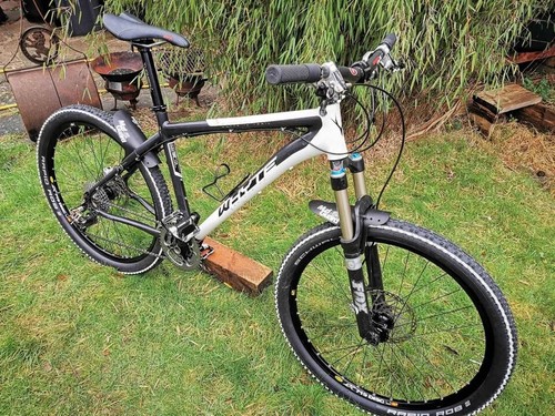 Whyte hope spec - 19, medium